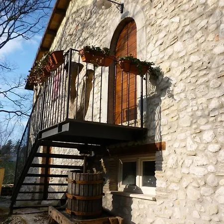Petrucci *